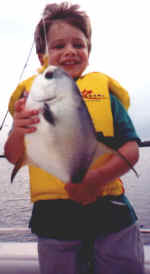Permit (2).jpg (29899 bytes)