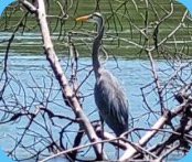 naples florida sightseeing cruise